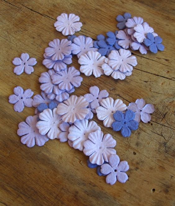 Hovedbilde Hortensia lilla (6)