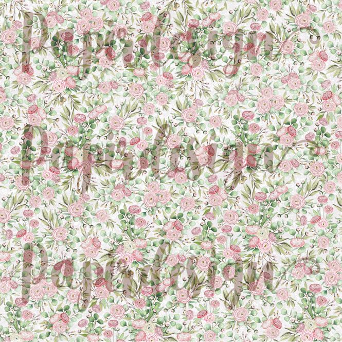 Hovedbilde PD 2100567 Ranukler ( 25 ark ...