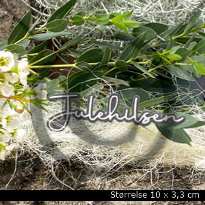 Hovedbilde Julehilsen 7 ( 6 dies )